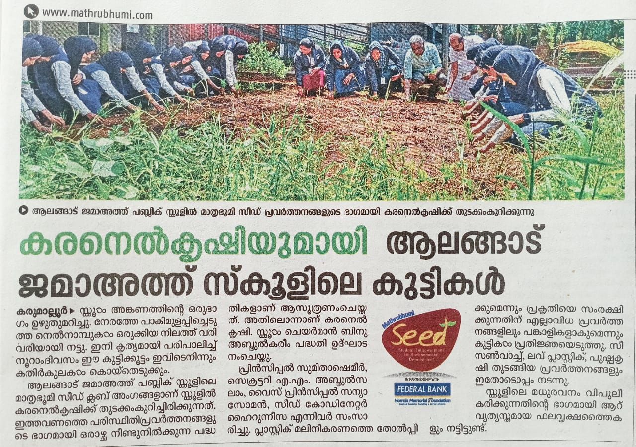 Environment day 2025